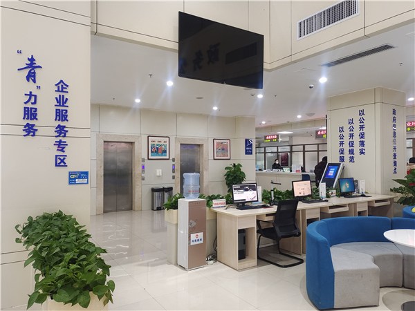 2023年青陽(yáng)縣政務(wù)公開專區(qū)建設(shè)成效顯著，商務(wù)信息咨詢服務(wù)高效便民